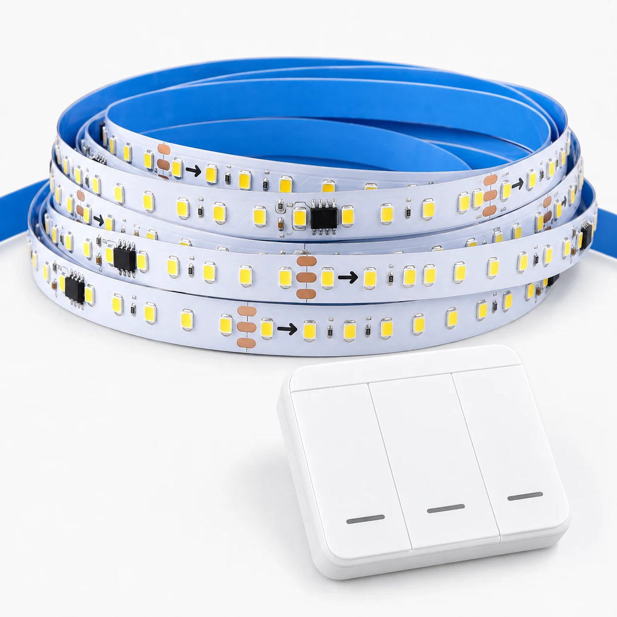 Addressable WS2811 LED Strip Kit — the coiled strip, controller and power supply on white