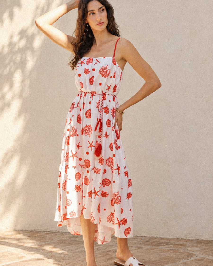 SO ME Shell Print Tiered Lined Midi Cami Dress With Belt - Tidilo editorial photograph